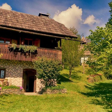 Domacija Koklej - Apartments Vintage Vacation Luče Exteriér fotografie