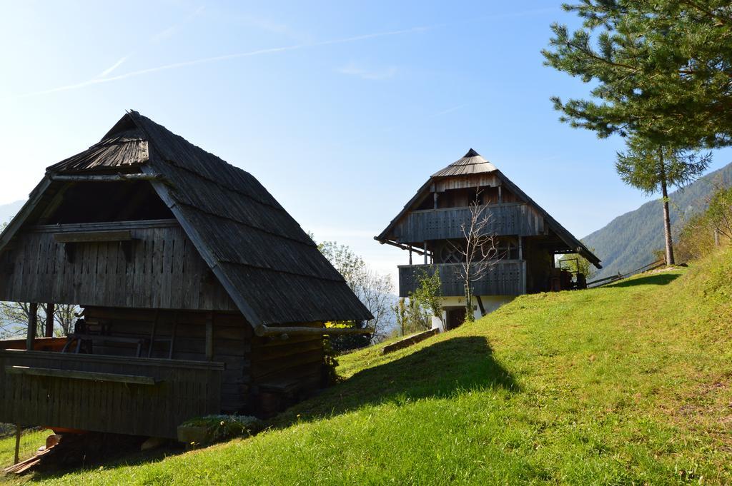 Domacija Koklej - Apartments Vintage Vacation Luče Exteriér fotografie