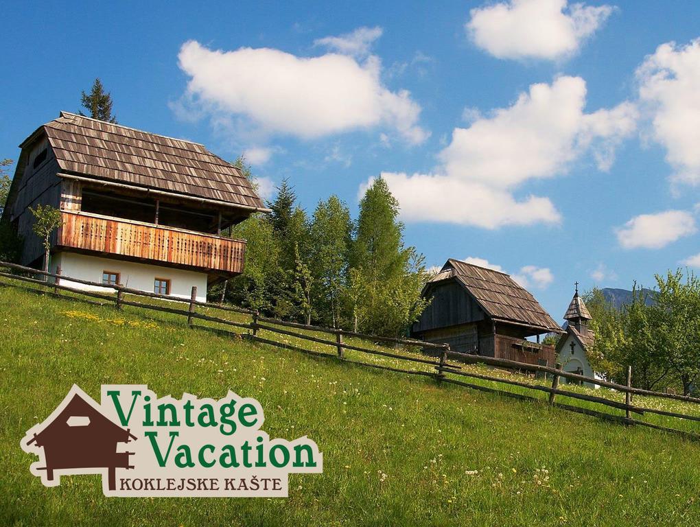 Domacija Koklej - Apartments Vintage Vacation Luče Exteriér fotografie