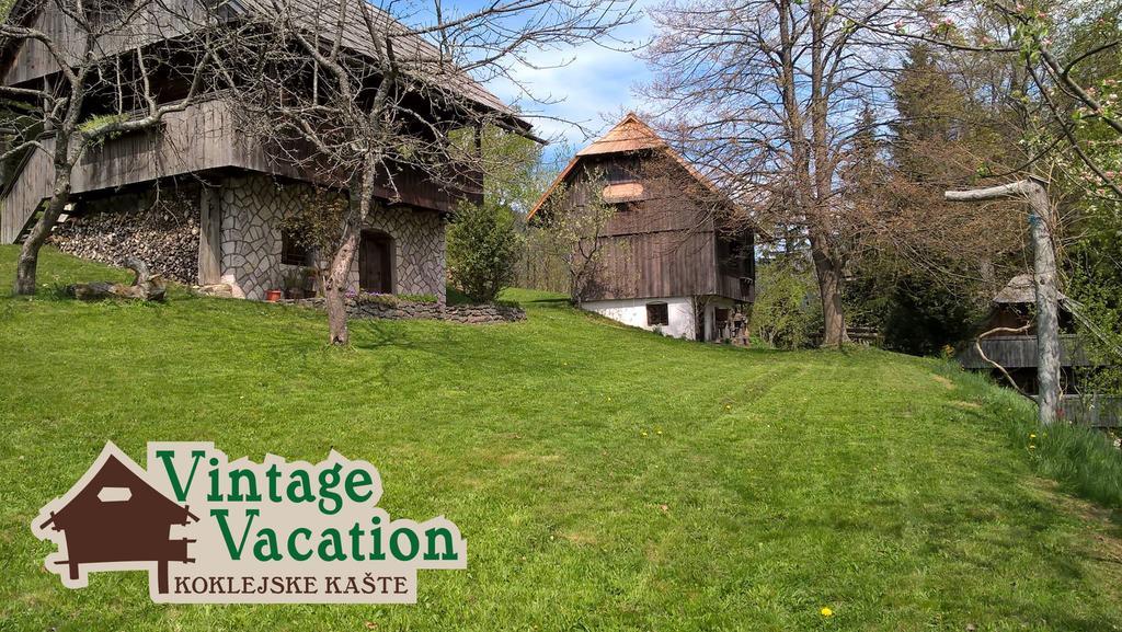 Domacija Koklej - Apartments Vintage Vacation Luče Exteriér fotografie