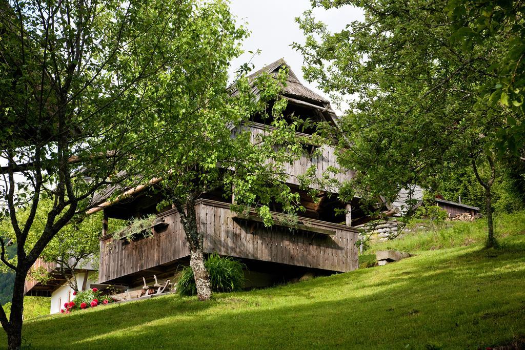 Domacija Koklej - Apartments Vintage Vacation Luče Exteriér fotografie