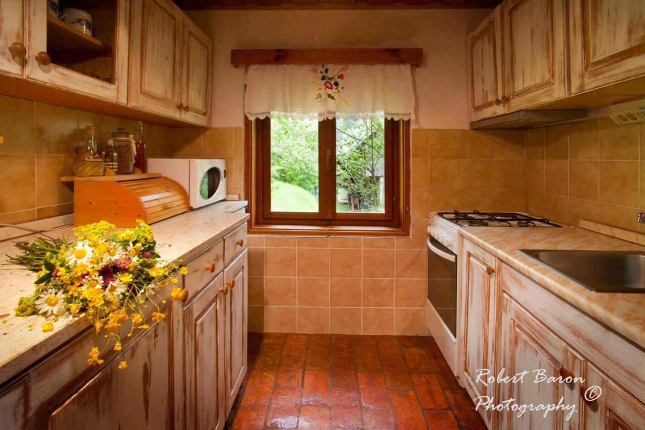 Domacija Koklej - Apartments Vintage Vacation Luče Exteriér fotografie