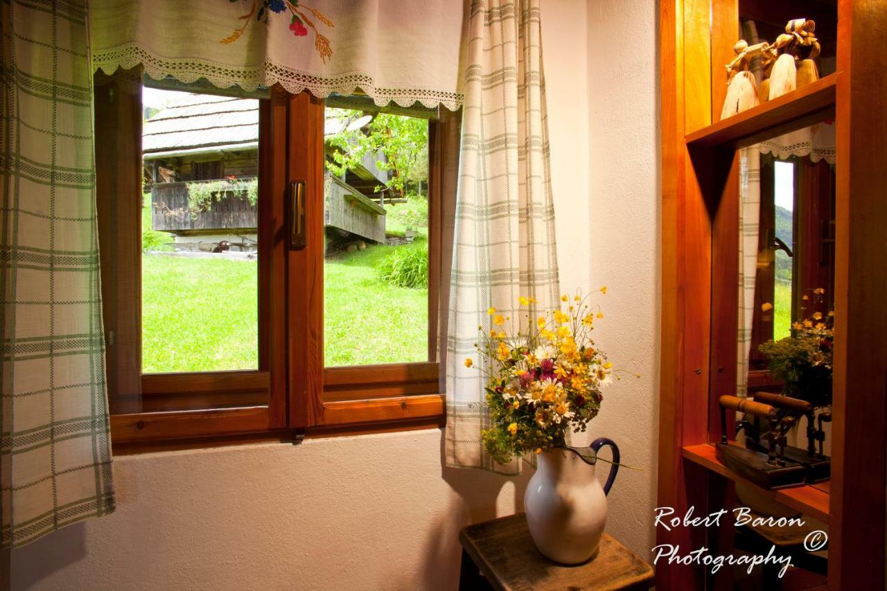 Domacija Koklej - Apartments Vintage Vacation Luče Exteriér fotografie